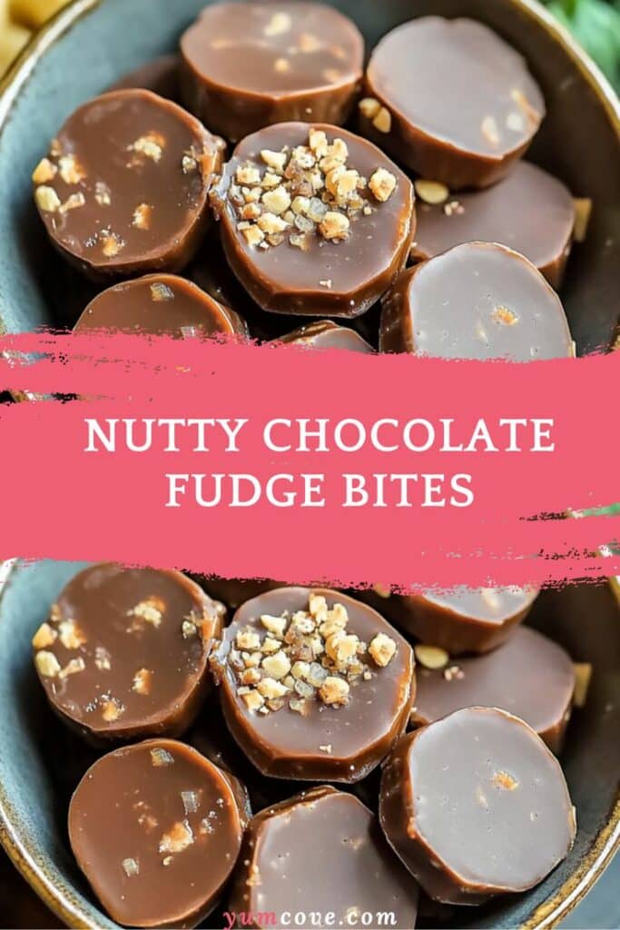 Nutty Chocolate Fudge Bites
