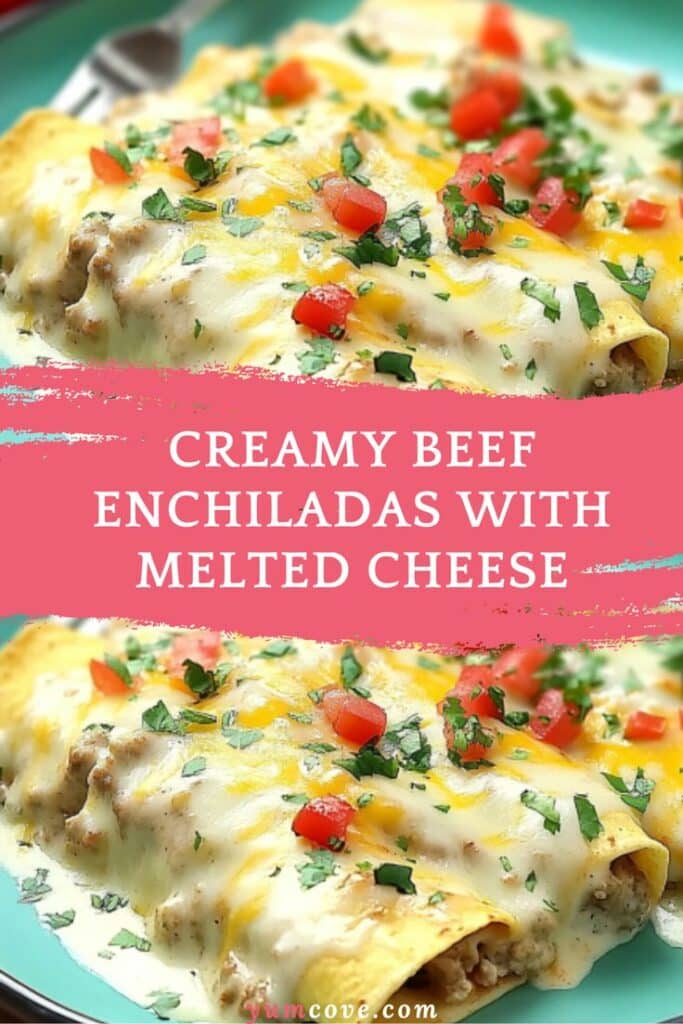 Creamy Beef Enchiladas with Melted Cheese